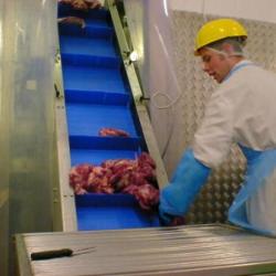 Food Modular Belt Elevator Conveyor