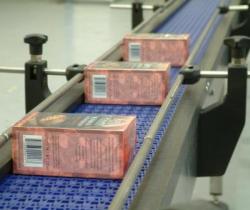 Food Conveyor