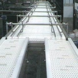 plastic belt conveyor for special purpose