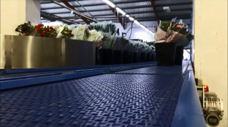 Fresh Flower Handling Conveyor