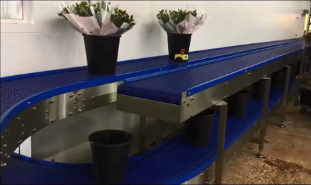 Flower processing line