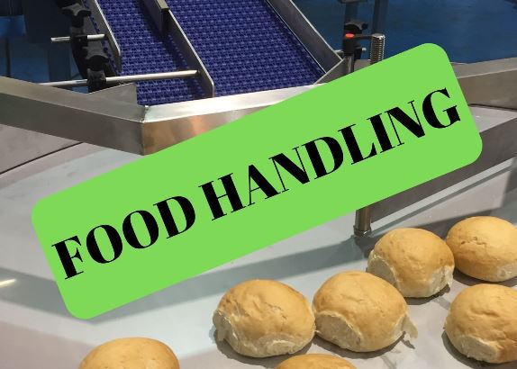 Food Handling Conveyors