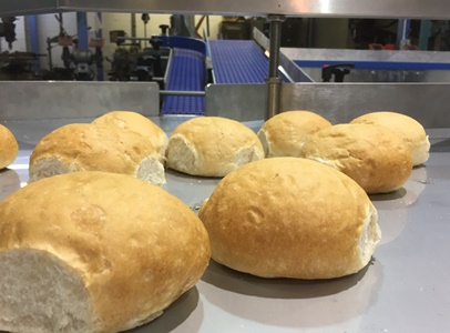Food Grade Conveyor Systems