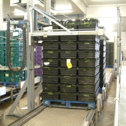 Chain Pallet Conveyor System
